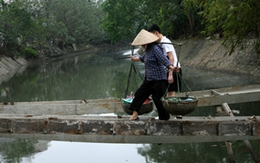 Người Hà Nội dò dẫm qua 'cầu khỉ'