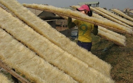 Nhìn cảnh này, ai còn dám ăn miến?
