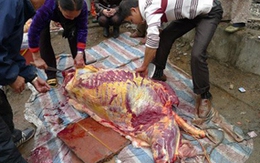 Giết ngựa bán thịt ngay hè phố Thủ đô