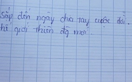 Tìm nguyên nhân 3 nữ sinh "chết cùng nhau"