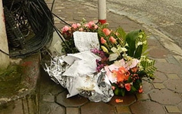 Mùng 9/3, hoa ra... bãi rác