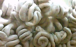 Biến lòng lợn thối thành dồi, tràng tươi rói