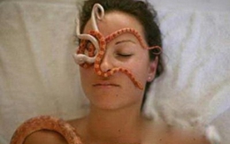 Hãi hùng chiêu massage bằng rắn