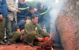 Gốc cây xà cừ tự nhiên phì khói lửa ở Hà Nội