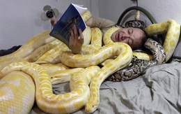 Ôm rắn ngủ để đón Tết