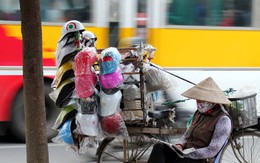 Phạt tiền có ngăn được mũ giả?