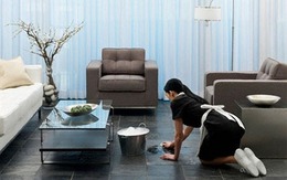 Tự học tiếng Anh, ""ôsin" lên mạng săn chủ Tây