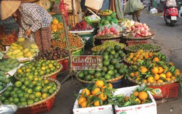 Cam Trung Quốc "đội lốt" hoa quả trong nước "xâm chiếm" thị trường
