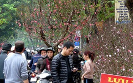 Chị em công sở hối hả lập kế hoạch nghỉ tết