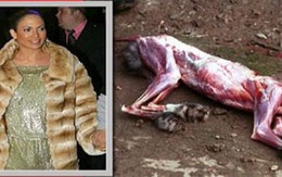 Rùng mình những hình ảnh rợn tóc gáy trong tuần