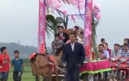 "Lờ" xế hộp, chàng đón nàng về dinh bằng xe ngựa