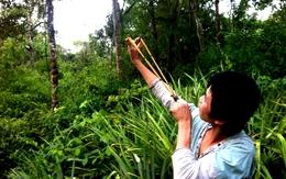 Cận cảnh cuộc sống của gia đình 'người rừng'