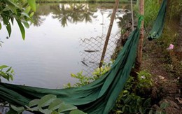 Ngủ võng, bé trai tử vong do bị trụ đá đổ vào đầu