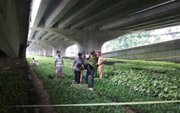 Phát hiện xác trưởng môn phái Bình Định Gia dưới cống thoát nước