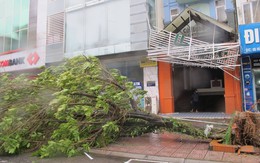 Móng Cái ngổn ngang khi bão Thần Sấm đi qua