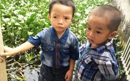 Cháu bé 3 tuổi giúp cứu bạn thoát nạn đuối nước