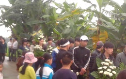 Nữ sinh Hải Phòng chết vì thuốc diệt cỏ: Để lại thư tuyệt mệnh cho bạn trai