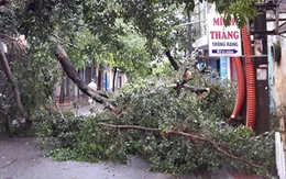 Hải Phòng: Một tàu cá đứt neo gặp nạn trong bão