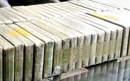 Bắt nữ quái vận chuyển 19 bánh heroin