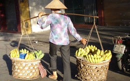 Não lòng kiếm...Tết