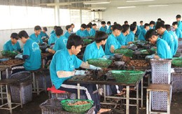 Người oan, kẻ thoát