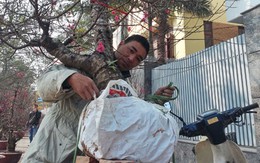 Nhiều người tay ngang kiếm tiền triệu dịp Tết