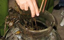 Rầm rộ lùng “hàng tăng lực” biếu Tết