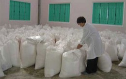 Con số & cuộc sống: 600.000 tấn