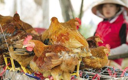 Quảng Ninh: Thành lập 6 chốt kiểm soát liên ngành 