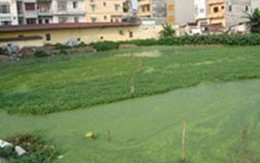 Hà Nội: Chi gần 60 tỷ đồng cho khu vực hồ Ba Giang