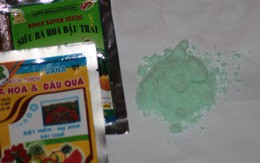 Đến làng rau săn thuốc “kích phọt”