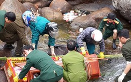 Sao phải cúi đầu?