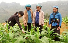 Tiếp nhận hồ sơ tuyển chọn 500 trí thức trẻ tình nguyện 