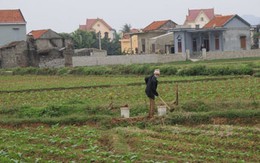 Về lại nơi hơn 10 vạn dân từng tay trắng