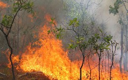 Cháy rừng tại TP Sơn La