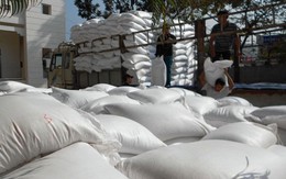 Gần 1.600 tấn gạo hỗ trợ cho 3 tỉnh miền Trung