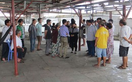 Thương lái khóc ròng vì quyết định “trên trời” của ngành Thú y