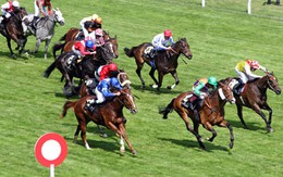 Hà Nội: Xin tiếp tục làm trường đua ngựa nửa tỷ đô