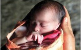 Tổng điều tra Dân số và Nhà ở Việt Nam năm 2009 - Tỷ số giới tính khi sinh ở Việt Nam: Các bằng chứng mới về thực trạng, xu hướng và những khác biệt