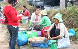 Chất lượng heo, gà ở TPHCM: Mua theo kiểu "hên xui"