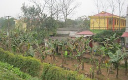 Buổi liên hoan thành cuộc chém giết