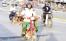 Phí hạn chế phương tiện cá nhân: Chưa thu