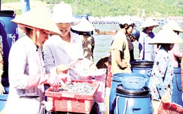 Biến đổi dân số và những tác động đến lao động và gia đình: Hài hòa để phát triển bền vững