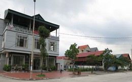 Thành phố náo loạn vì tin đồn “gà móng đỏ”