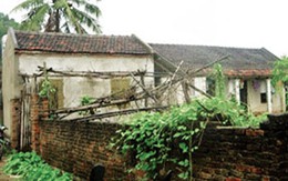 Hai người thiệt mạng, nguyên nhân sâu xa từ con bò