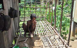Bắc Trà My (Quảng Nam): Dân bỏ nhà gạch, ở nhà lá