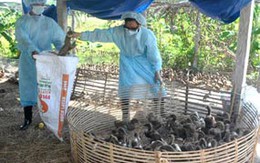 Thủ tướng CP yêu cầu thành lập ngay đoàn kiểm tra phòng, chống dịch bệnh