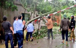 Hối hả chống bão Sơn Tinh