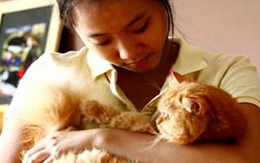 Mắc bệnh từ thú cưng