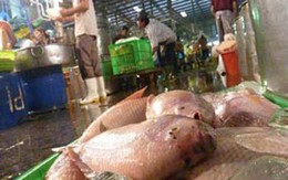 Thịt nhiễm vi sinh còn cao